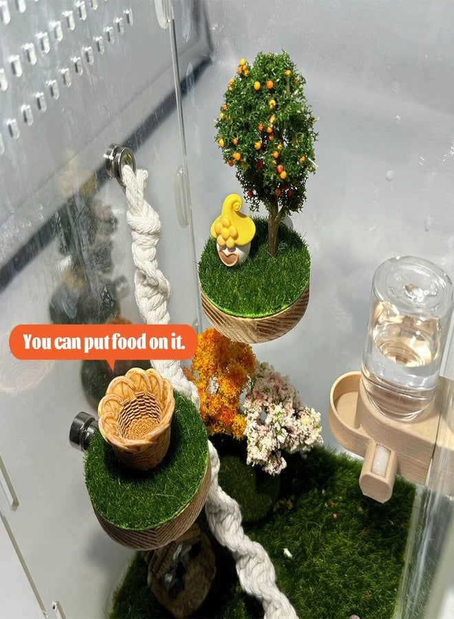Julang Jumping Spider Enclosure Accessories - Natural Wood Handmade Mini Forest Platforms with Magnetic Mounting for Climbing, Resting and Exploration - Image 4